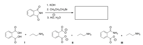 Predict the product(s)  of the following reaction.   A)  I B)  II C)  III D)  None of the choices