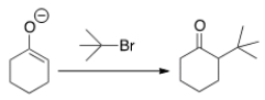 Why can't you prepare 2-tert-butylcyclohexanone by the following reaction?   A)  Because tert-butyl bromide is too basic. B)  Because tert-butyl bromide cannot undergo an S<sub>N</sub>2 reaction. C)  Because tert-butyl bromide is a nucleophile. D)  Because tert-butyl bromide is not a stable compound.