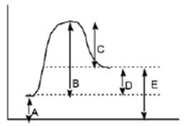 Which of the following letters represents DH° for the forward reaction in the following energy diagram?   A) A B) B C) C D) D
