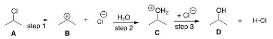 The DG° (free energy change)  for the conversion of A to B is predicted to be which of the following?   A) DG° = 0 B) DG° < 0 C) DG° > 0 D) Cannot be determined from the information provided