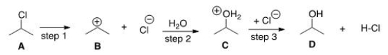 If the conversion of A to B is slow and B to C is fast, what is the rate equation for this reaction?   A) Rate = k[(CH<sub>3</sub>) <sub>2</sub>CHCl][H<sub>2</sub>O] B) Rate = k[(CH<sub>3</sub>) <sub>2</sub>CHCl] C) Rate = k[(CH<sub>3</sub>) <sub>2</sub>CH]<sup>+</sup>[H<sub>2</sub>O] D) Rate = k[(CH<sub>3</sub>) <sub>2</sub>CH]<sup>+</sup>