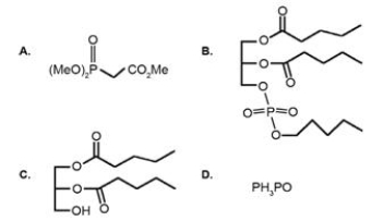 Which of the following is a phospholipid?   A) A B) B C) C D) D