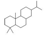 How many isoprene units are in the following molecule?   A) 1 B) 2 C) 3 D) 4