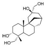 How many isoprene units are contained in the following molecule?   A) 5 B) 4 C) 3 D) 2
