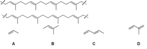 Which of the following is the monomer that gives the polymer shown below?   A) A B) B C) C D) D