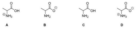 Which of the following is the correct structure for alanine at pH = 7?   A) A B) B C) C D) D