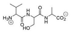 What amino acid is at the C-terminus of the following peptide?   A) Valine B) Serine C) Alanine D) Proline