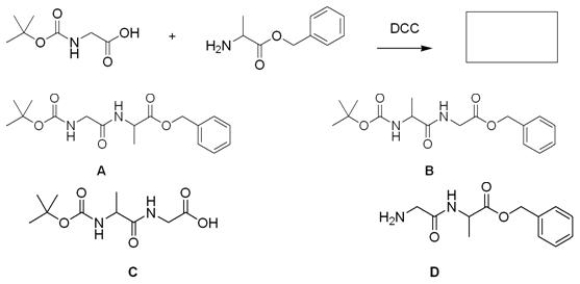 What is the major organic product for the following reaction?   A) A B) B C) C D) D