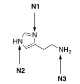 <sup> </sup>Histamine, a vasodilator, is responsible for a wide variety of physiological effects.Rank the three nitrogen atoms in histamine in increasing order of basicity, putting least basic nitrogen atom first.   A) N2 < N1 < N3 B) N1 < N2 < N3 C) N3 < N1 < N2 D) N3 < N2 < N1