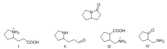 What is the product formed by hydrolysis of the following lactone with acid?   A) I B) II C) III D) IV