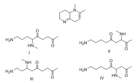 What product is formed when the following compound is hydrolyzed with aqueous acid?   A) I B) II C) III D) IV