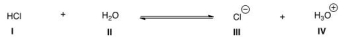Which is the conjugate base in the following reaction?   A) I B) II C) III D) IV