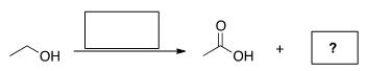 What is the other product formed in the oxidation of the following terminal alkyne?   A) HCOOH B) HCOH C) CO<sub>2</sub> D) CO