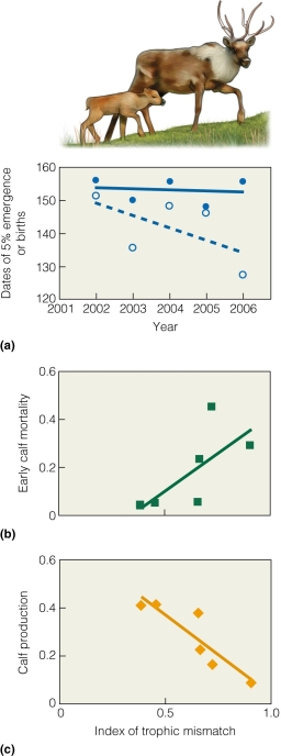   What does the figure show regarding the emergence of caribou calves and their forage? A) Calves and forage are emerging earlier. B) Calves are emerging earlier but forage is not. C) Forage is emerging earlier but calves are not. D) Forage and calves are emerging later.