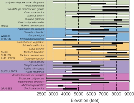   What does this figure indicate? A) Species abundances have dramatically declined. B) Species richness has dramatically declined. C) Species have moved higher in elevation over time. D) Species have moved lower in elevation over time.