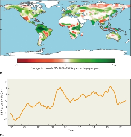   According to the figure,which area is seen as exhibiting only increases in NPP due to climate change? A) South America B) Africa C) Australia D) Western Europe