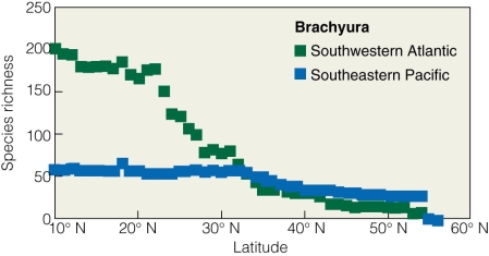   Which of the following is true for Brachyura marine crabs? A) Species richness decreases with increasing sea surface temperatures. B) Species richness decreases with NPP. C) Species richness decreases with latitude. D) Species richness decreases with time.