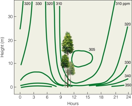   According to the figure,when is atmospheric CO₂ the highest? A) at night B) during the day C) when trees are present D) at high altitudes