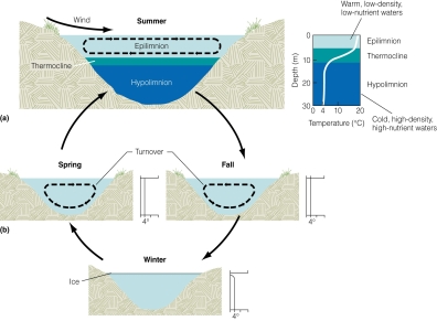   In which season does lake stratification occur? A) summer B) spring C) fall D) winter