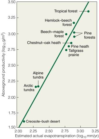   Which ecosystem has the highest actual evapotranspiration? A) creosote-bush desert B) tallgrass prairie C) pine forest D) beech-maple forest