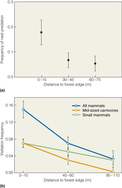   What do these data suggest? A) increased bird nesting closer to edge habitat B) increased risk of mammalian predation on nests closer to edge habitat C) decreased mammalian visitation closer to edge habitat D) highest level of nest predation by mammals occurring in the interior