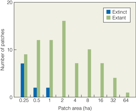   What does this figure suggest? A) Larger patch size increases extinction risk. B) Larger number of patches increase extinction risk. C) Smaller patch size increases extinction risk. D) Smaller number of patches increase extinction risk.