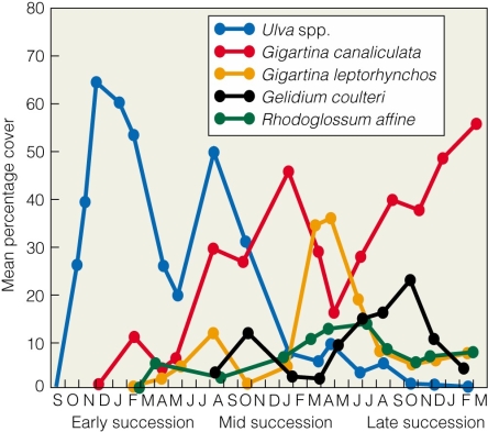   According to the figure,which species is considered a pioneer species? A) Ulva spp. B) Gigartina canaliculata C) Gigartina coulteri D) Gigartina leptorhynchos