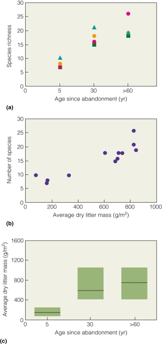   What does this figure suggest is responsible for increasing species diversity? A) time alone B) increasing leaf litter C) decreasing leaf litter D) increase in agriculture