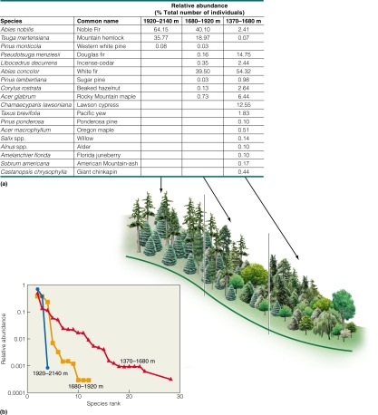  Which elevational gradient has the most species? A) 1920-2140 m B) 1680-1920 m C) 1370-1680 m D) cannot tell from figure