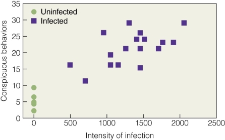   Which of the following best explains the figure? A) Conspicuous behavior leads to high infection intensity. B) High intensity infection leads to more conspicuous behavior. C) There is no relationship between conspicuous behavior and infection intensity. D) Only infected individuals exhibit conspicuous behavior.