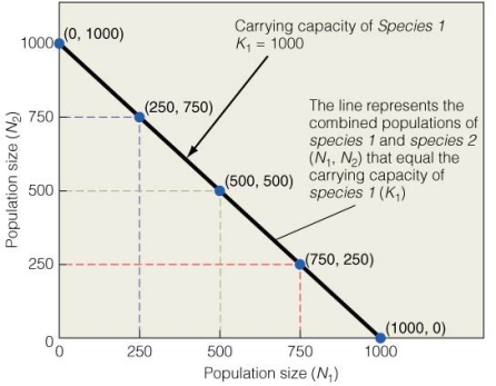   Which of the following has the strongest impact on species 1 population size? N₂ = A) 0)  B) 250. C) 500. D) 750.