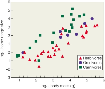   This figures illustrates that territory size is positively correlated with A) density. B) body size. C) feeding type. D) rainfall.