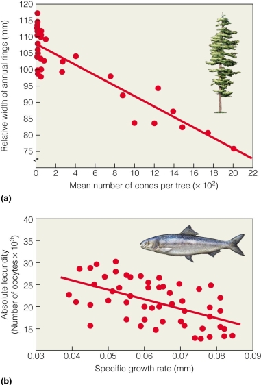   The data in Figure 10.7 support which of the following trade-offs? A) the size of offspring is correlated with the number of offspring B) the size of offspring is correlated with the age at maturity C) the number of offspring is correlated with growth D) the number of offspring is correlated with survival