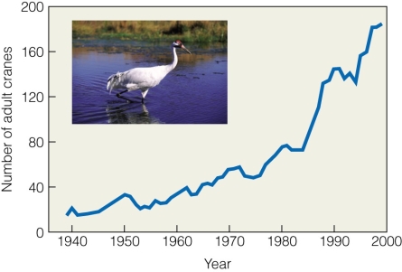   The pattern shown in figure 9.6 best resembles A) a survivorship curve. B) exponential growth. C) R0= 0. D) r < 0.