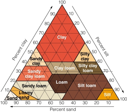   A soil that is 10% silt,80% sand,and 10% clay would be considered A) clay loam. B) sandy clay. C) slit loam. D) loamy sand.