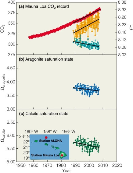   In panel B of the figure,what might cause the Aragonite saturation state to begin increasing? A) reduction in ocean acidification B) increased ocean acidification C) increase in CO₂ emissions D) increased fish biodiversity