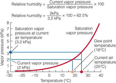   If the vapor pressure is 1 kPa,what would be the approximate dew point? A) 25°C B) 10°C C) 18°C D) 1°C