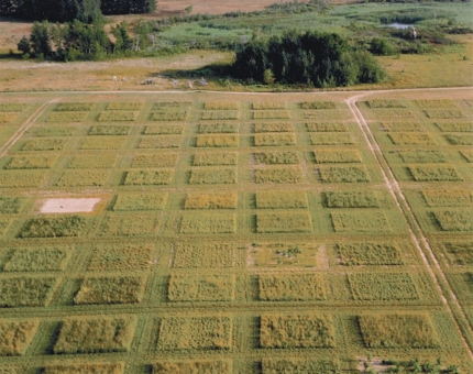   Experiments done at Cedar Creek Long Term Ecological Research site are ideal for examining concepts at what level? A) ecosystem B) population C) community D) individual