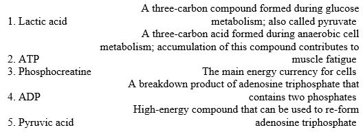 Match the following terms with the descriptions below.  
