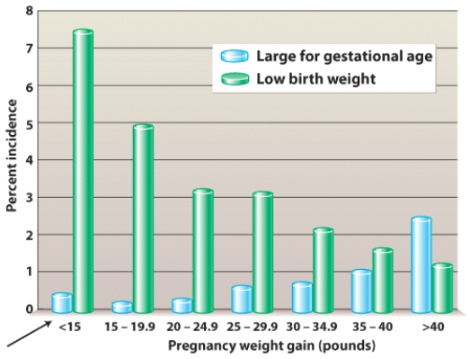 How does gaining too little weight during pregnancy affect fetal birth weight?   