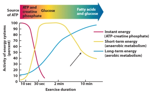 How does fatty acid use change with time in a person out for a 45-minute jog?   