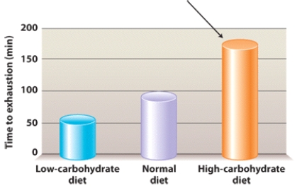 What type of diet will prolong the time to exhaustion in a long-distance cyclist?   