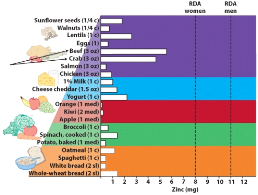 What are the best food sources of zinc?   