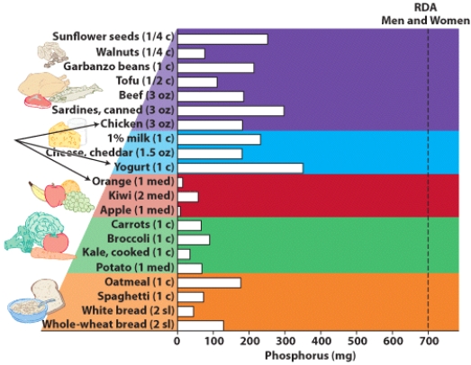How do the phosphorus content of oranges,yogurt,and chicken compare? Which is the BEST source of phosphorus?   