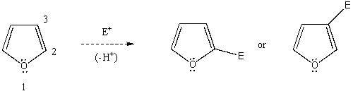 Based on your knowledge of electrophilic aromatic substitution,predict the preferential position of attack of an electrophile on furan,i.e. ,does the electrophile E<sup>+</sup> attack carbon 2,or 3? Explain your answer.   Which substitution product forms preferentially and why?
