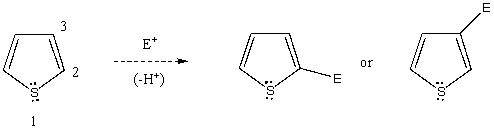 Based on your knowledge of electrophilic aromatic substitution,predict the preferential position of attack of an electrophile on thiophene,i.e. ,does the electrophile E<sup>+</sup> attack carbon 2,or 3? Explain your answer.   Which substitution product forms preferentially and why?