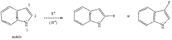 Based on your knowledge of electrophilic aromatic substitution,and assuming the pyrrole ring of indole (shown)is activated toward electrophilic aromatic substituted more so than the benzenoid ring,predict the preferential position of attack of an electrophile,i.e. ,does the electrophile E<sup>+</sup> attack carbon 2,or 3? Explain your answer.   Which substitution product forms preferentially and why?