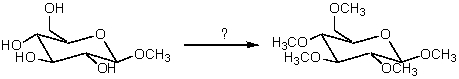 Which reagent would cause the following conversion to take place?   A)  Excess CH3OH and KOH B)  Excess CH3OH and HCl C)  Excess (CH3) 2SO4 and OH- D)  Excess CH3I and H3O+ E)  Excess (CH3CO) 2O
