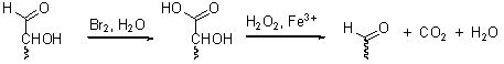 An optically active hexose,A,C<sub>6</sub>H<sub>12</sub>O<sub>6</sub>,was degraded to an optically active pentose (B),C<sub>5</sub>H<sub>10</sub>O<sub>5</sub>,by the following series of reactions:   Compound (B)was degraded to an optically active tetrose (C)C<sub>4</sub>H<sub>8</sub>O<sub>4</sub>,through the same series of reactions as shown above,then (B)and (C)oxidized with HNO<sub>3</sub> to yield the optically active tartaric acid. Give possible structure for (A)and (B).