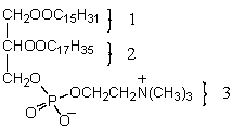 Consider a micelle composed of phosphatidyl choline,shown below.Which part(s) of the molecule would form the hydrophilic surface of the micelle?   A)  3 B)  2 C)  1 D)  1 and 2 E)  2 and 3